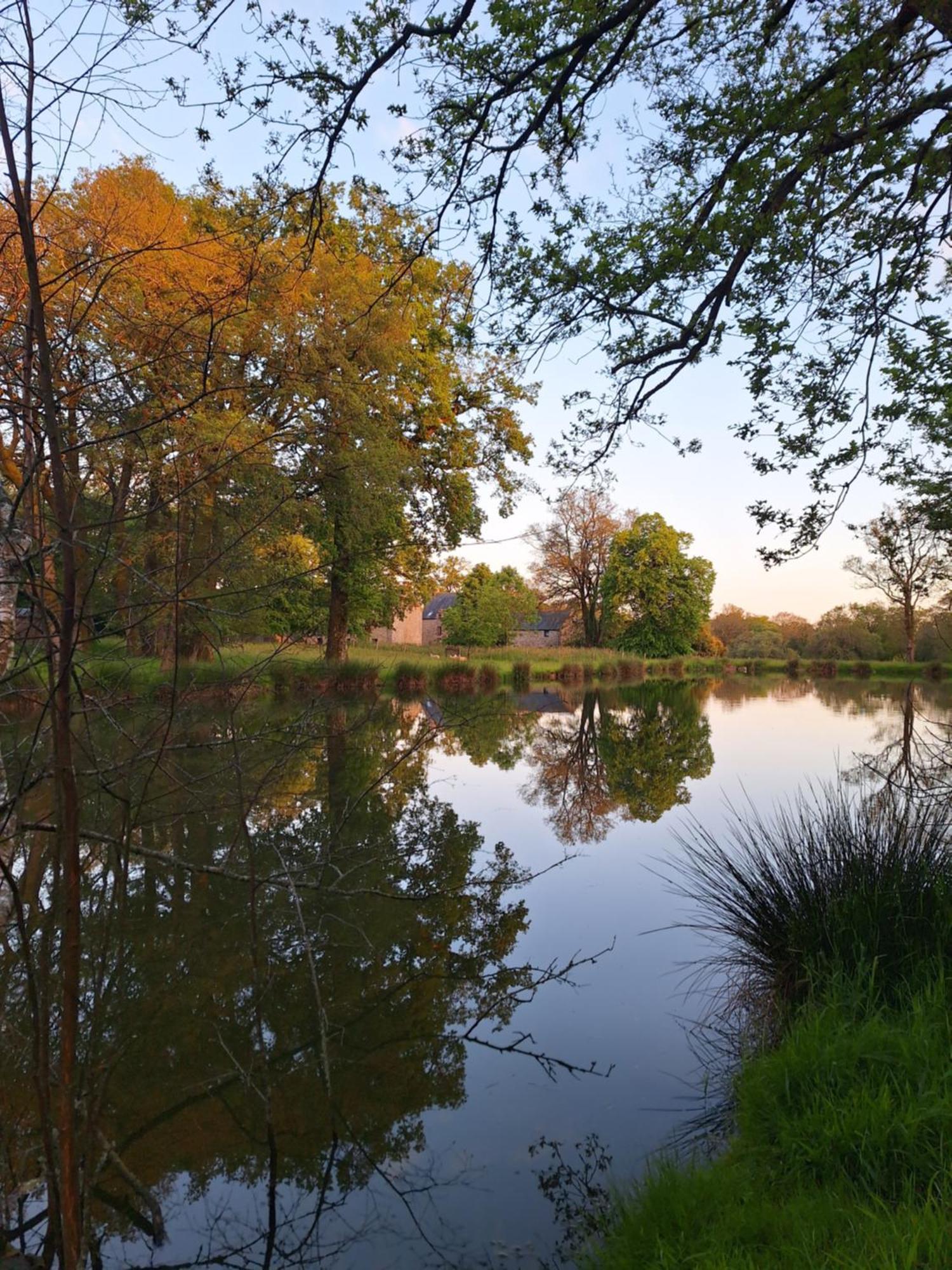Domaine De Bobehec - Gite De Groupe, Chambres & Salle - 23 Personnes - Morbihan Proche Vannes Et Plages La Vraie-Croix Экстерьер фото